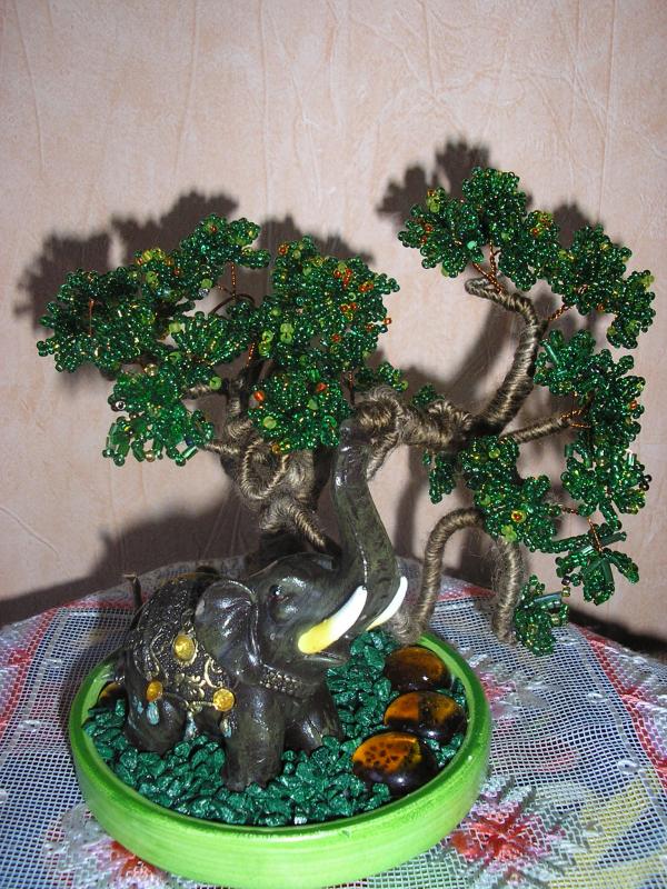 medukas