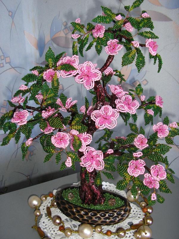 azalea tree