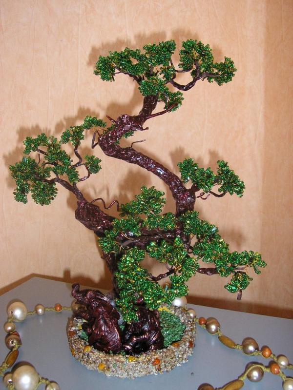 bonsai