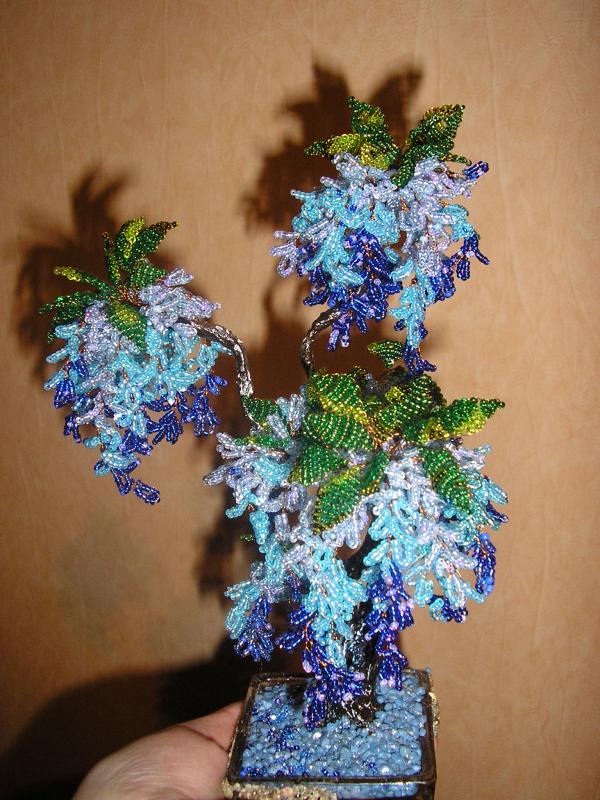 medukas