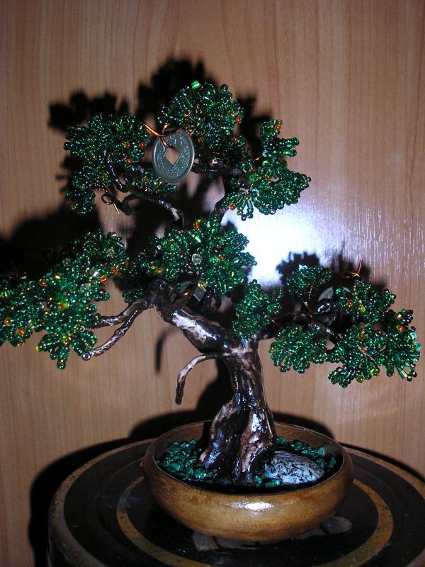 Bonsai