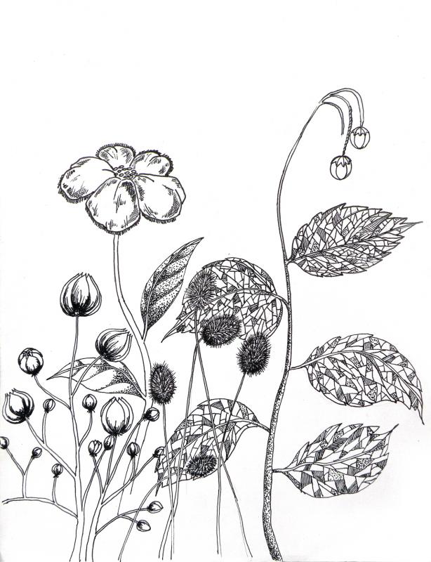 Flowers