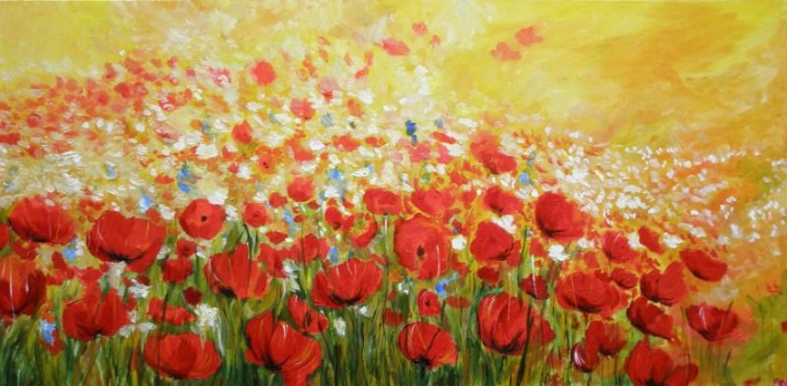 Poppy field