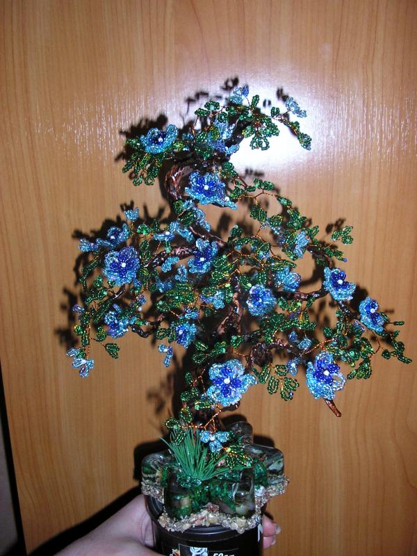 medukas