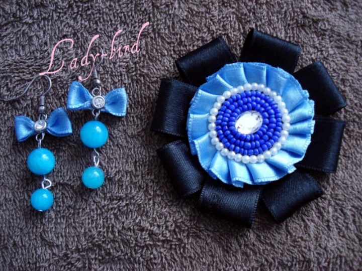 Brooch earrings +