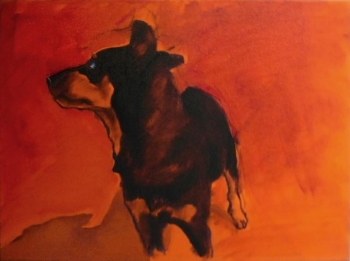 " dog red "