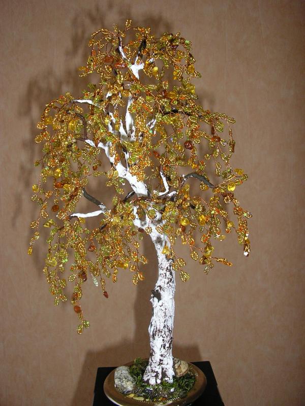 Golden birch