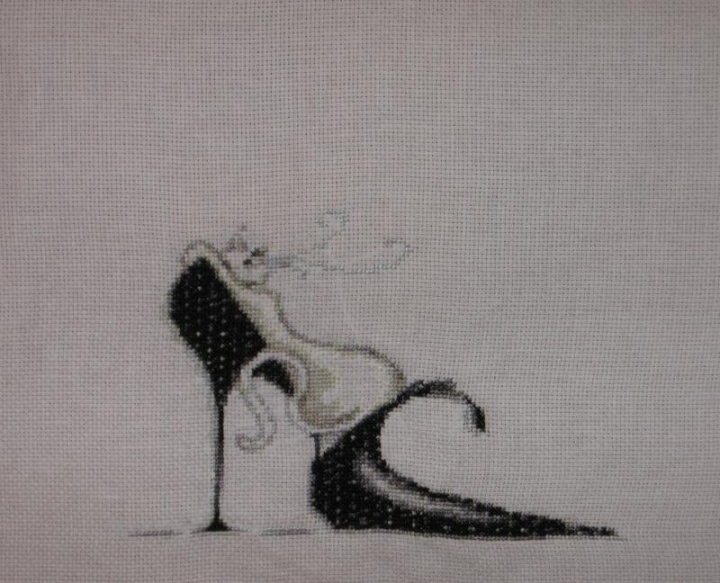 cat on a black shoe