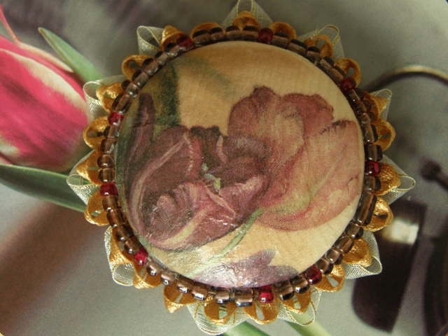 Tulip blooms