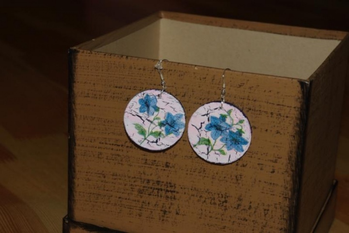 Earrings AU14