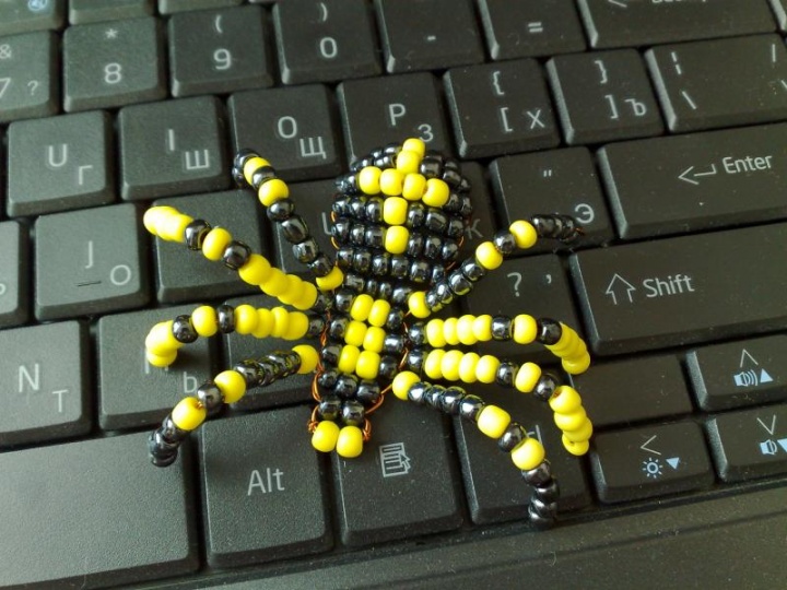 spider