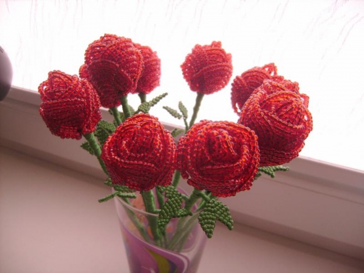 Red roses