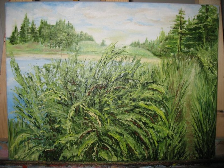 " coast "