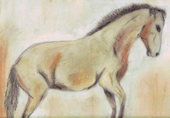 horse