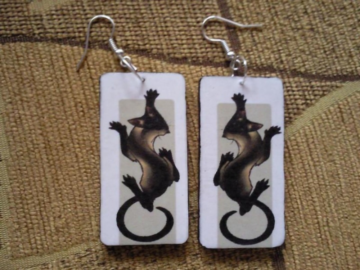 Earrings " cat "
