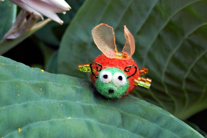 Frightened beetle