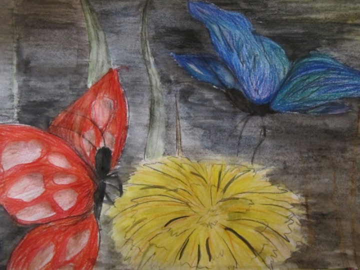 Butterflies love dance
