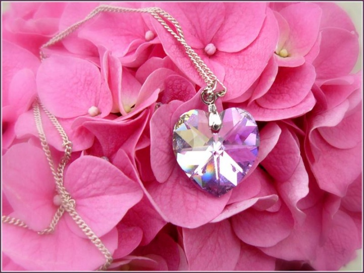 " My Heart "