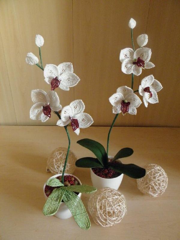 " Sniego_karaliene " picture no. 2