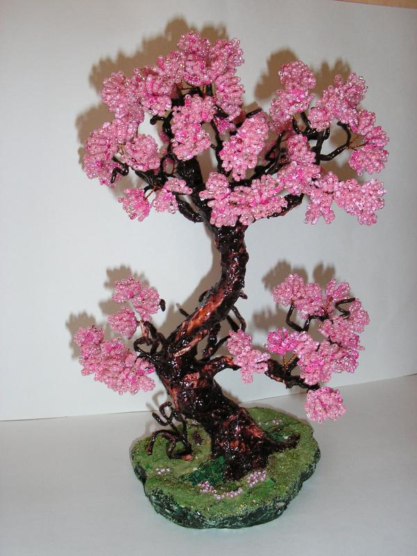 rozinis bonsai