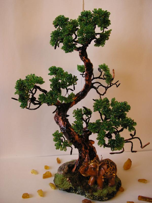 bonsai medis