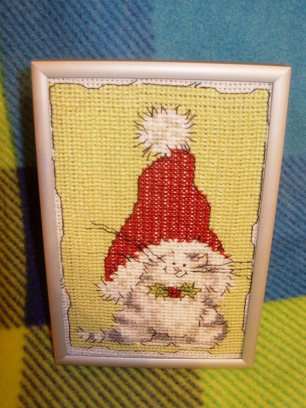 A cat with a Christmas hat