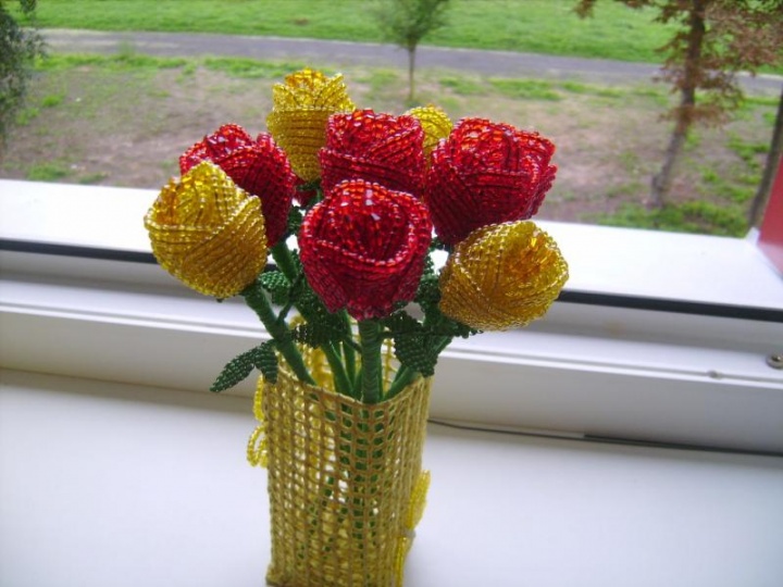 Rozes