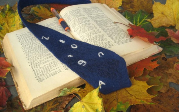 School Tie son