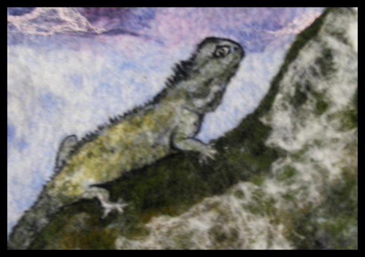 Tuatara
