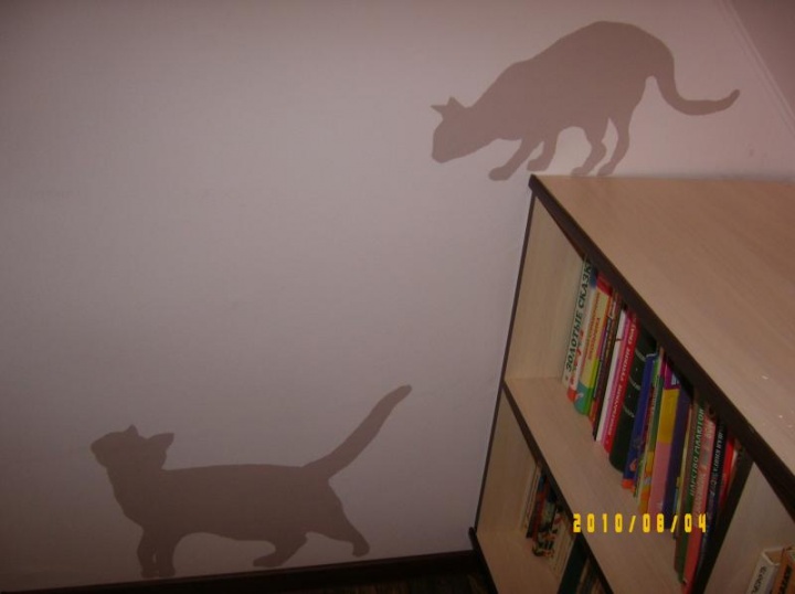 " Cats "
