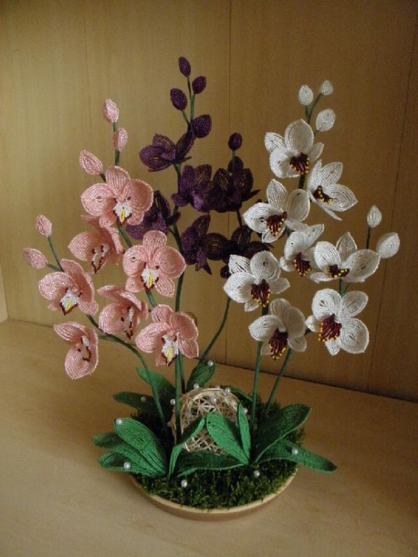 Orchids " Trio "