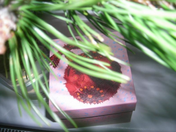 Christmas Gift Box
