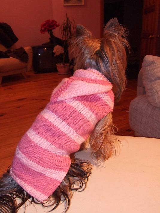 Striped sweater picture no. 2