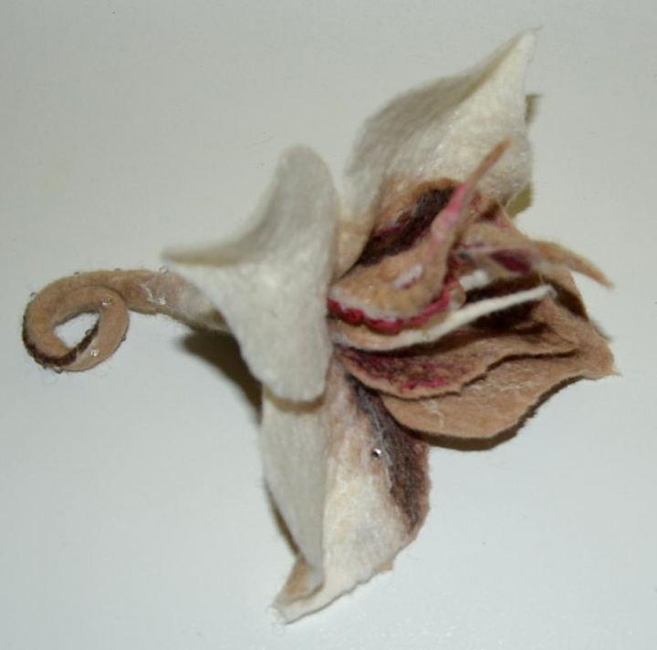 sagė