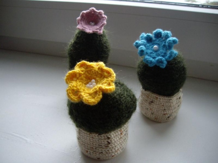 Souvenir " Cactus "