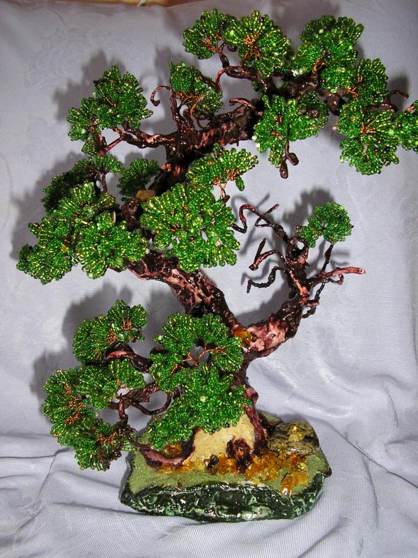 bonsai