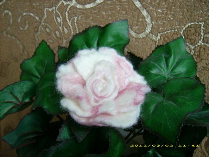 flower picture no. 2