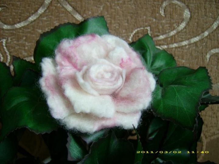 flower picture no. 3