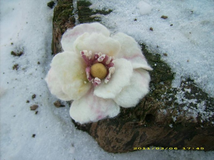 flower picture no. 2