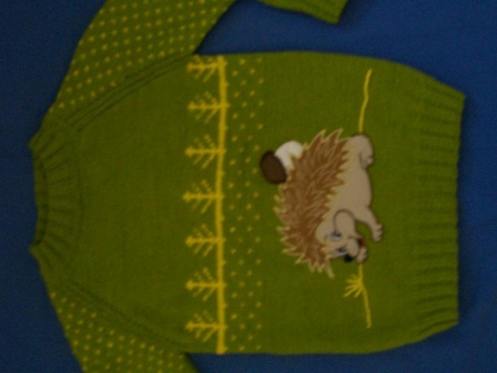 Hedgehogs