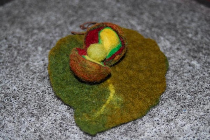 Autumn color