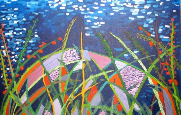 " Night fishing for carp "