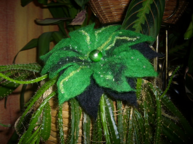 Green Green picture no. 3