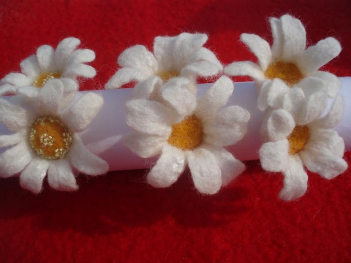 Daisy picture no. 2