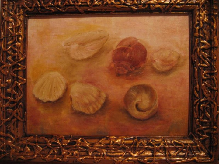shells