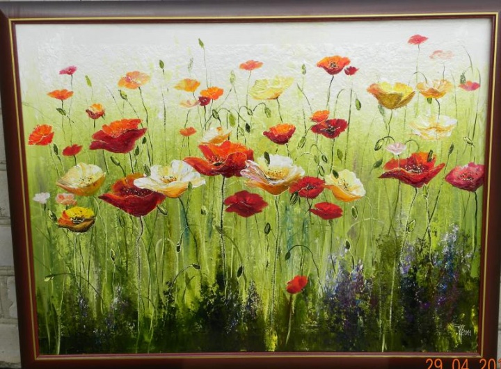 poppy meadow