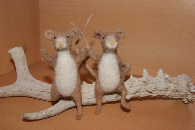 Two mice