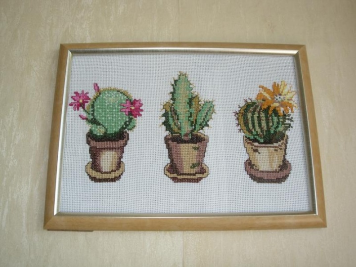 Cacti