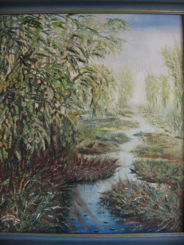 swamp