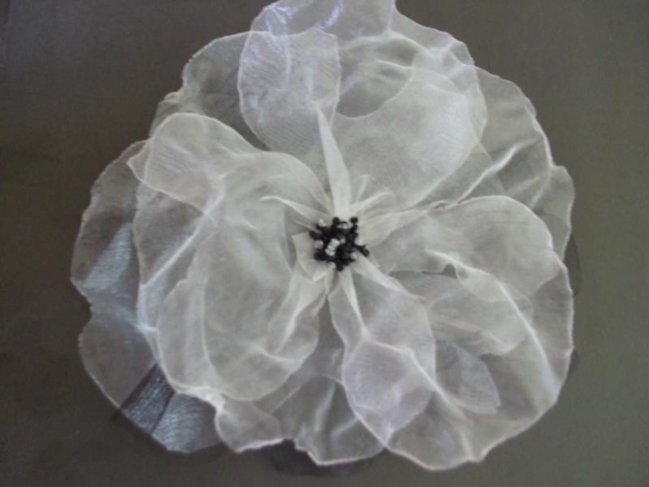 Organza